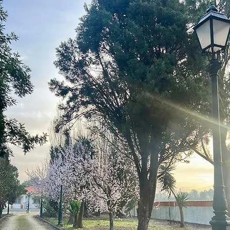 홈스테이 Vagos Guest House 바고스