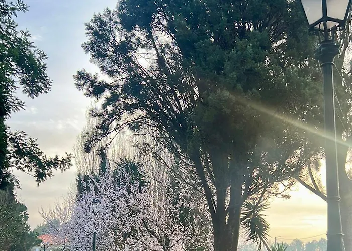 Habitación en casa particular Vagos Guest House Vagos