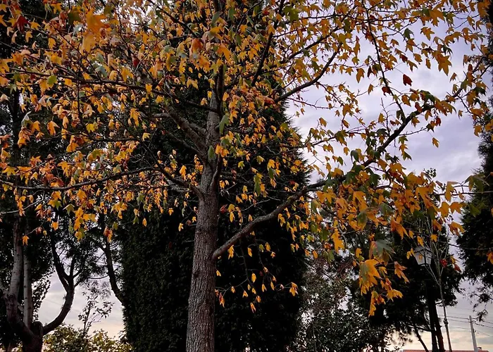 Vagos Guest House Habitación en casa particular *